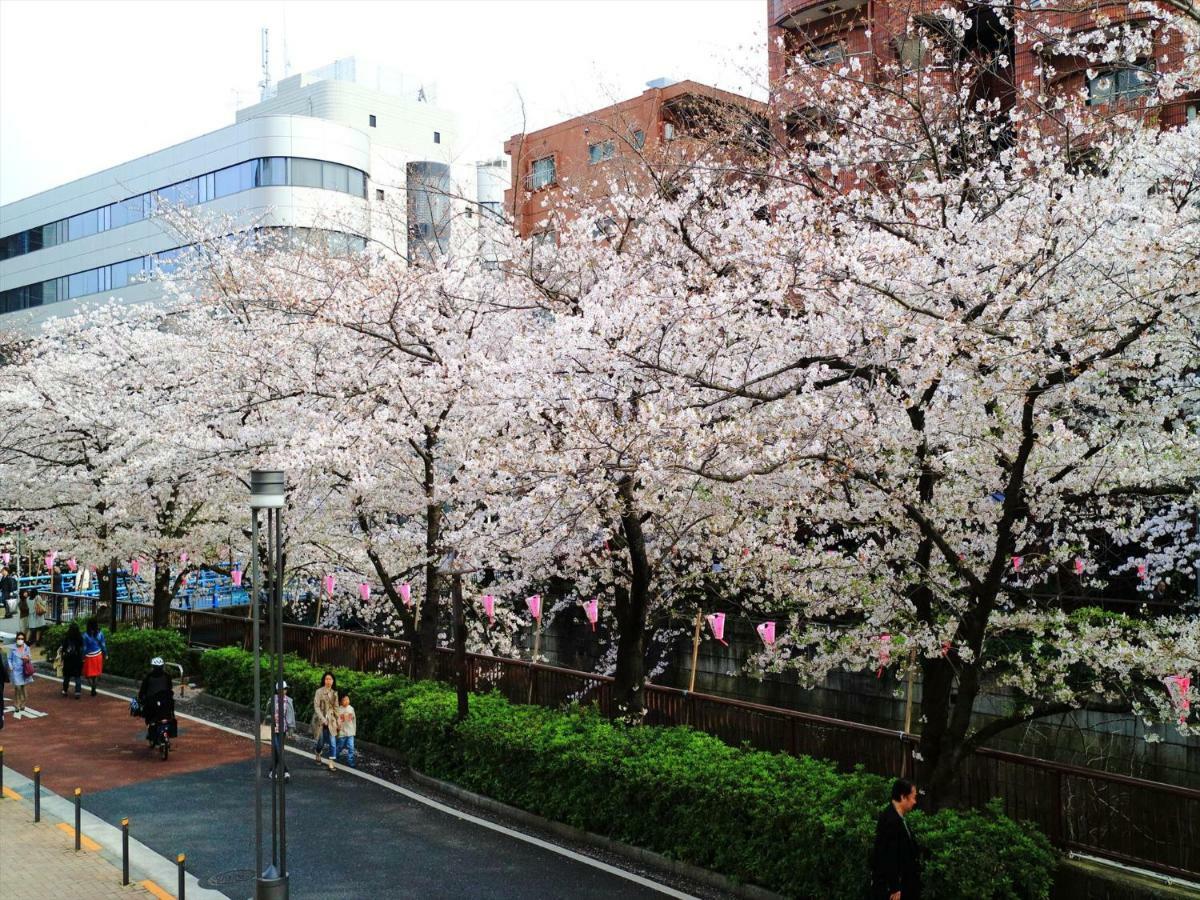 Coto Tokyo Shibuya 6 Apartment Bagian luar foto